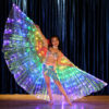 LED light wings